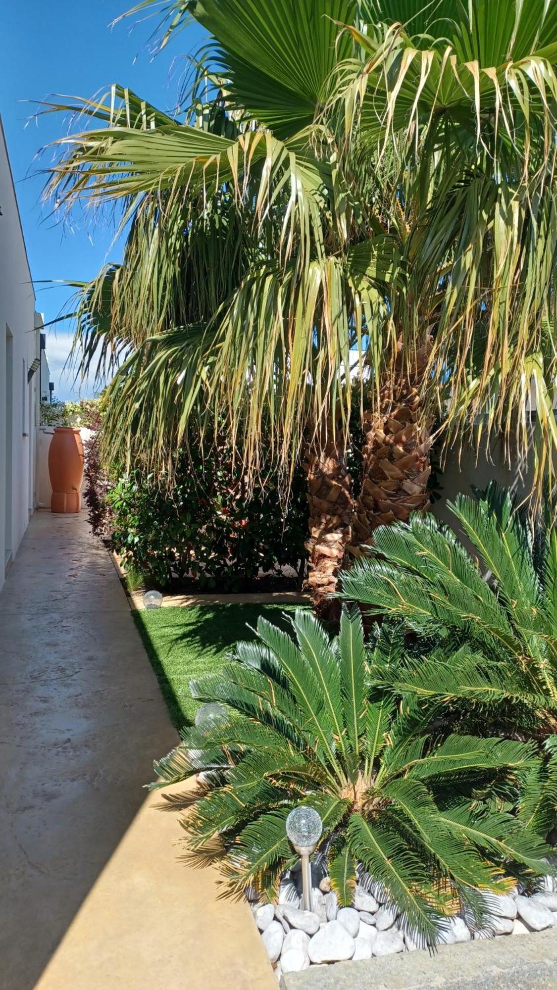 Rue Du Bac Bed & Breakfast Villeneuve-de-la-Raho Exterior photo